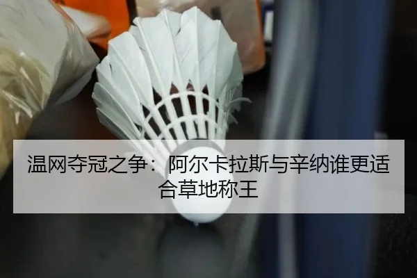 温网夺冠之争：阿尔卡拉斯与辛纳谁更适合草地称王